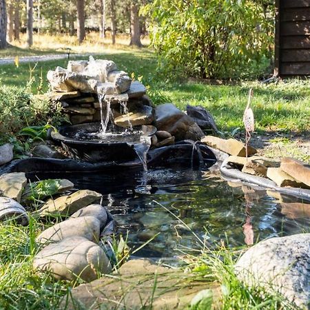 Rustic Cozy Cabin With Hot Tub Bragg Creek Eksteriør billede
