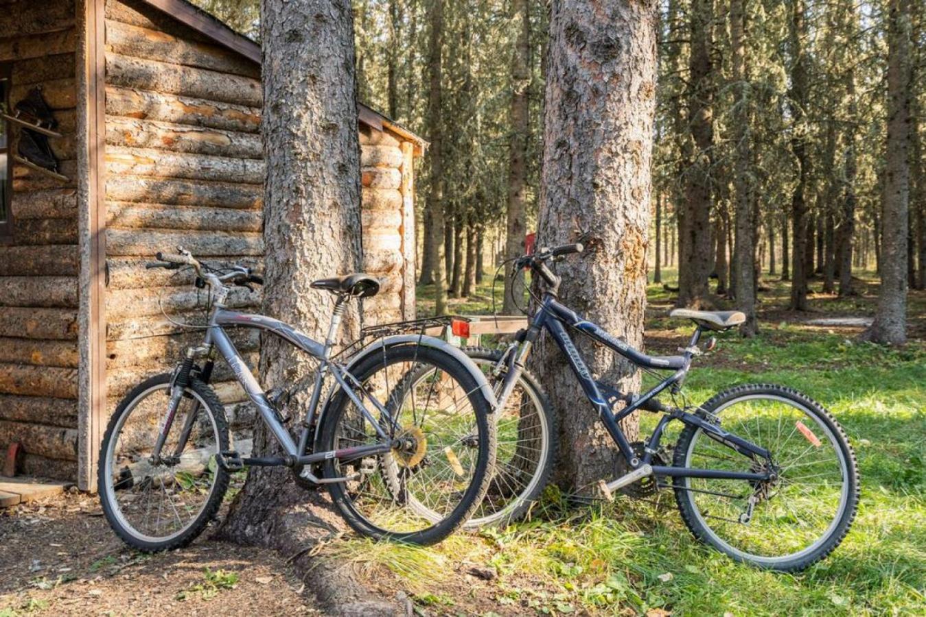 Rustic Cozy Cabin With Hot Tub Bragg Creek Eksteriør billede